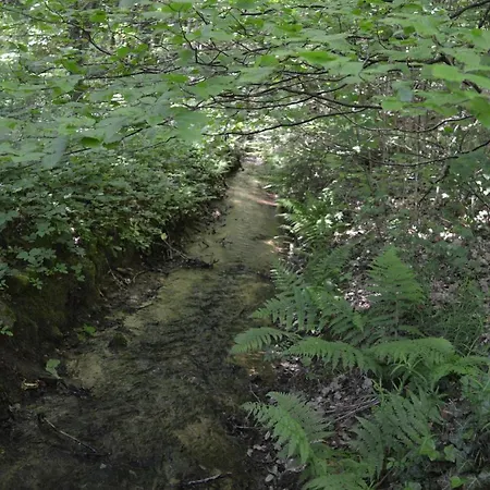 Daire Le Moulin De Chatillon